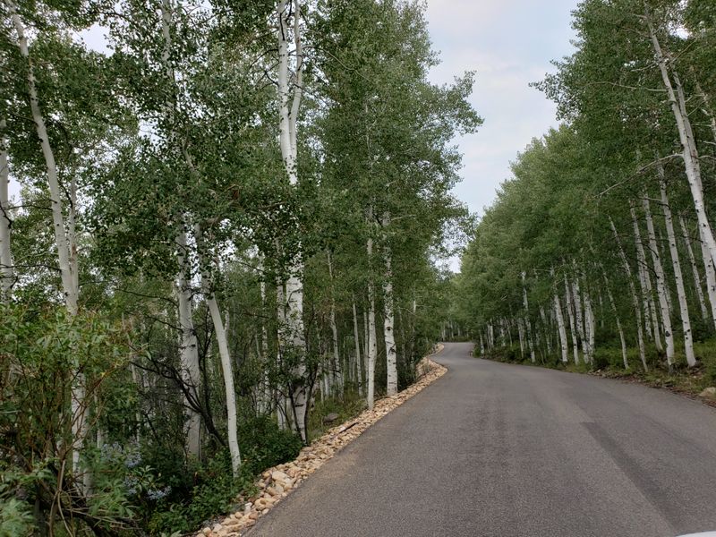 Cabin Style Homes That Create a Cozy High Country Atmosphere