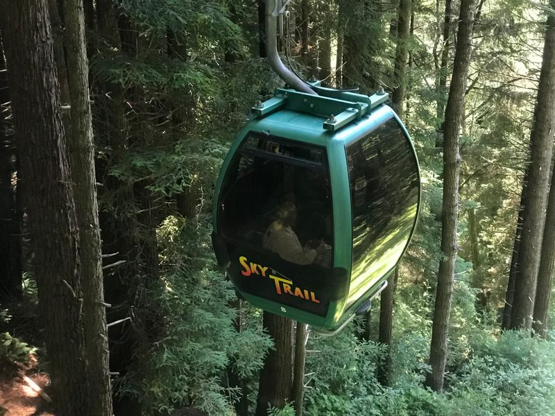 SkyTrail Aerial Tram Views