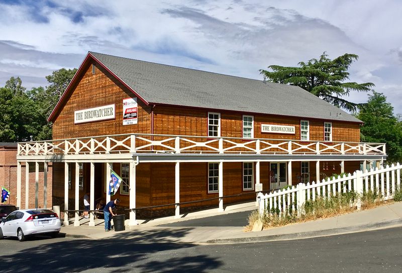 How the Town’s Gold-Rush History Shapes Its Present-Day Charm