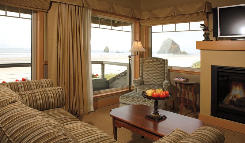 The Power of Watching Nature From Comfort