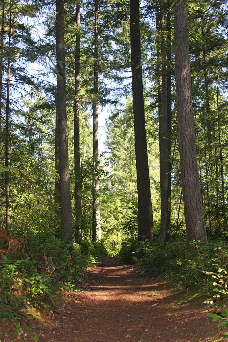 Trails That Encourage Mindful Wandering