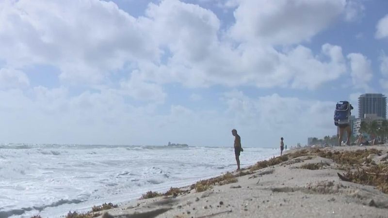 Peace of Mind for Visitors