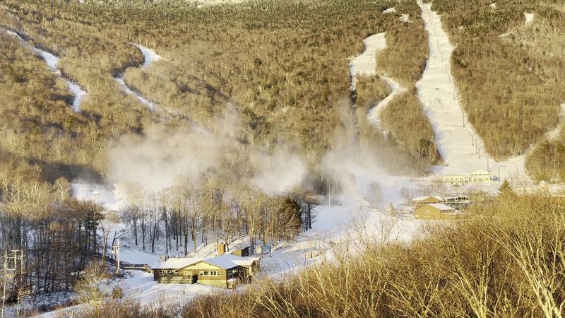 Alpine Village Setting in Stowe