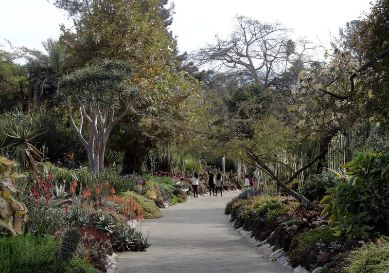 A Living Tribute to Nature’s Resilience