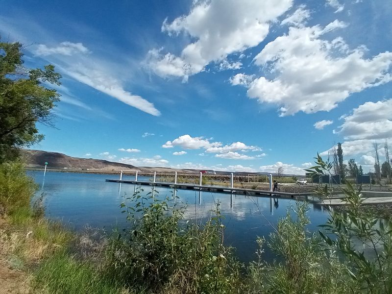 Beginning the Trip Under Low Hanging Evergreen Mist