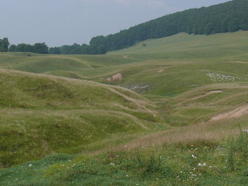 A Motel That Became a Meadow