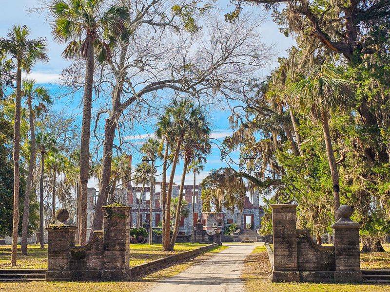 A Landscape Where Nature Took Control