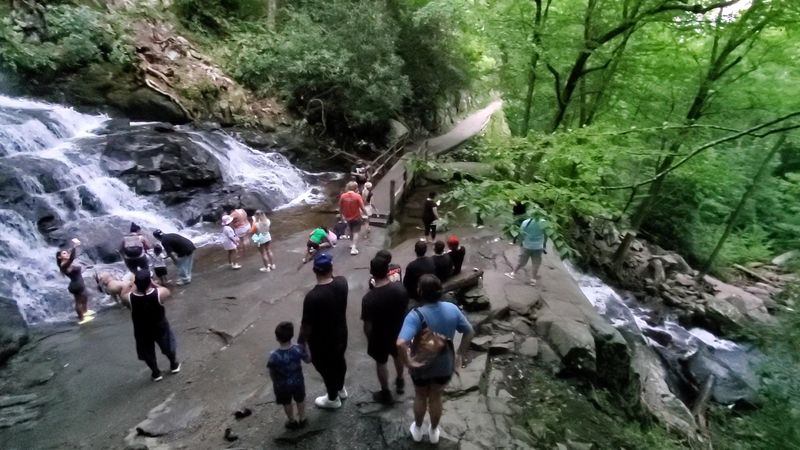 Trail Conditions and What to Expect