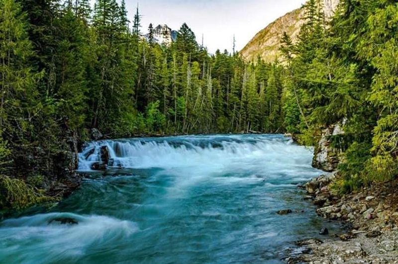 Sleigh Rides Through Quiet Forests