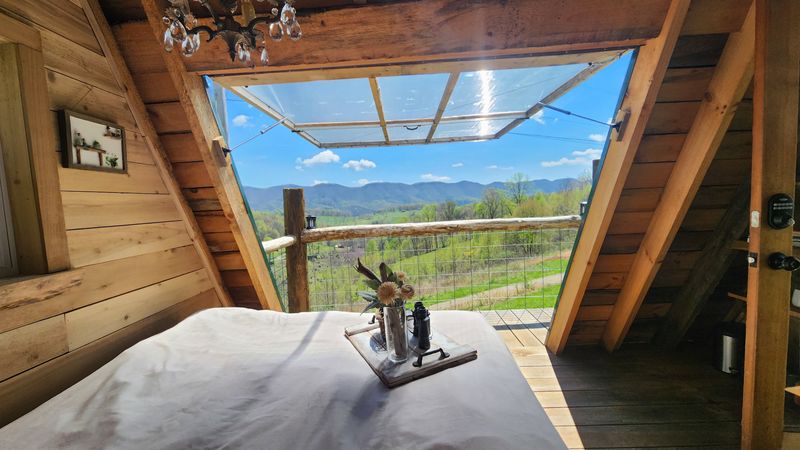 Selling Hollow Logs Is Prohibited by State Code