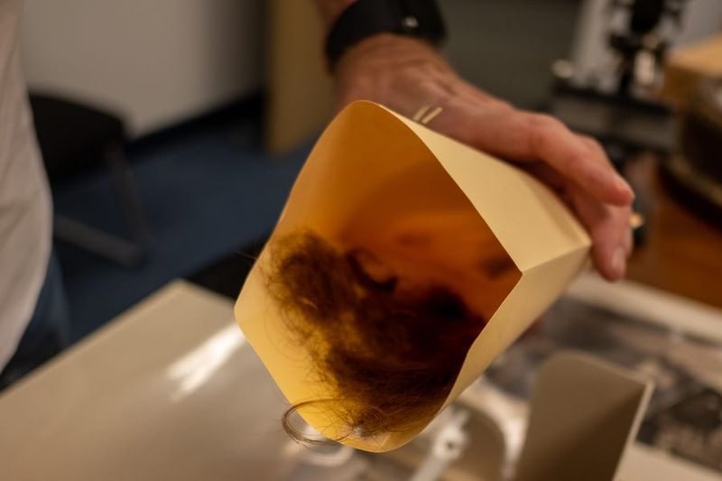 The Room Where the Past Is Stored in Glass Vials