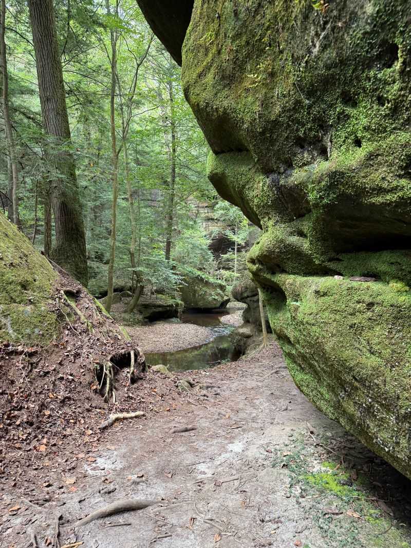 Dismals Canyon, 901 County Rd 8, Phil Campbell, AL