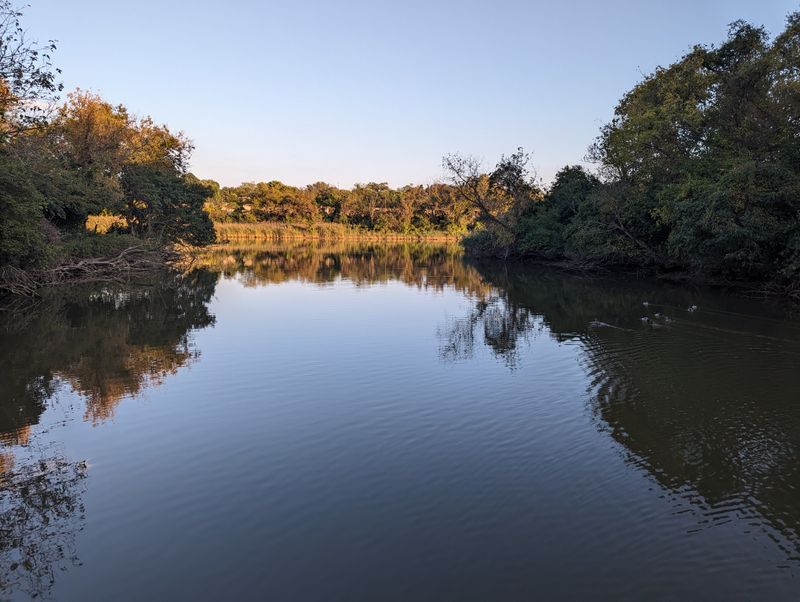 No Swearing in Public Parks, Baltimore