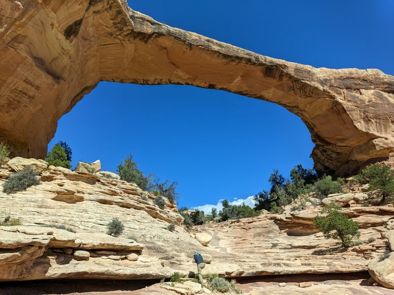 Natural Bridges National Monument