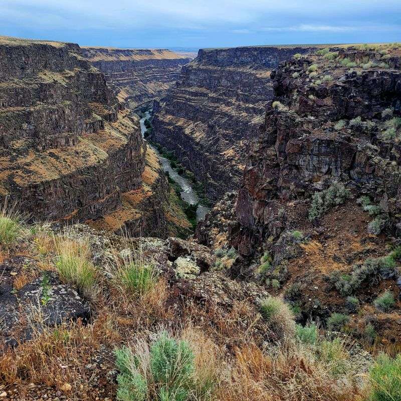 Bruneau Canyon Overlook