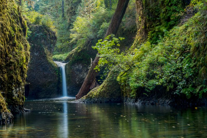Punch Bowl Falls