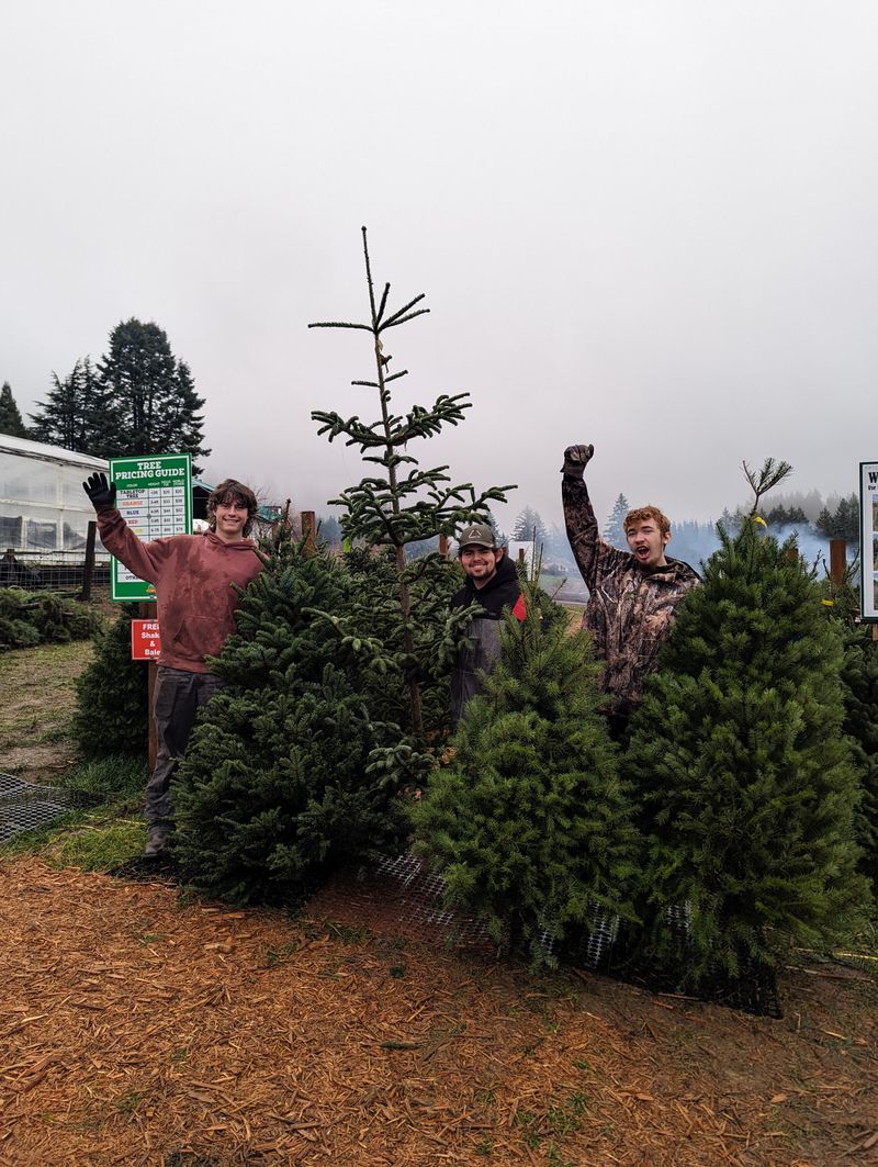 Plumper Pumpkin Patch & Tree Farm