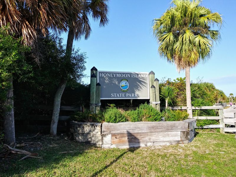Honeymoon Island State Park