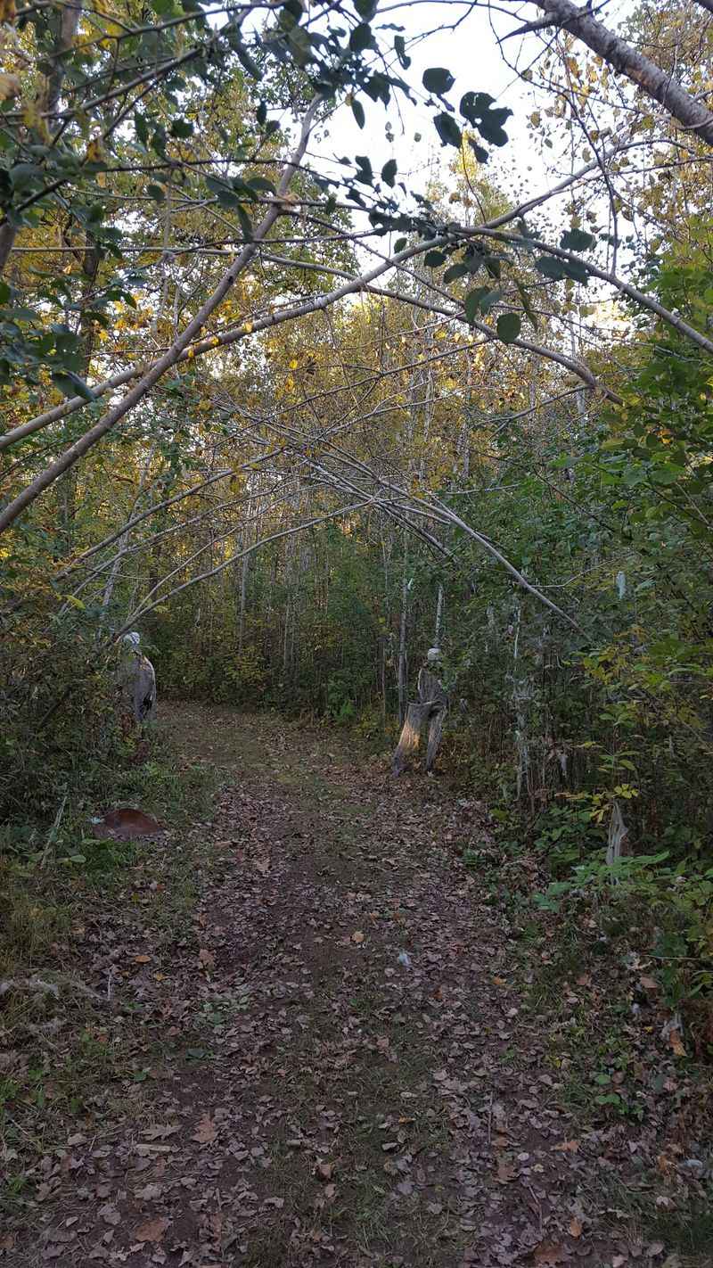 Devil's Tramping Ground Near Bear Creek