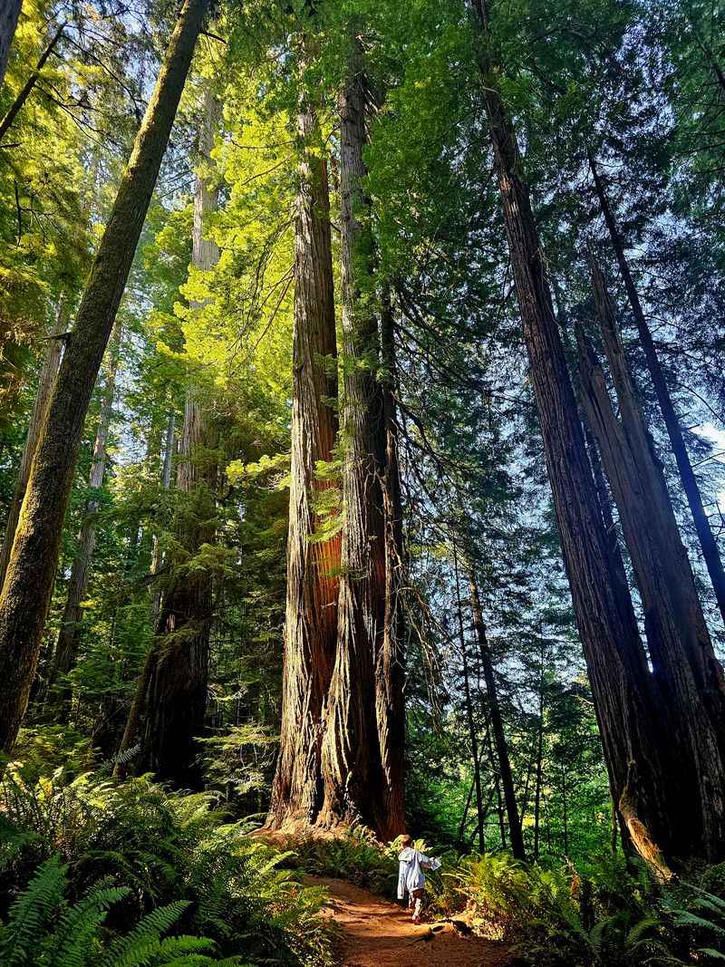 The Scenic Pullout You Swore You Would Skip