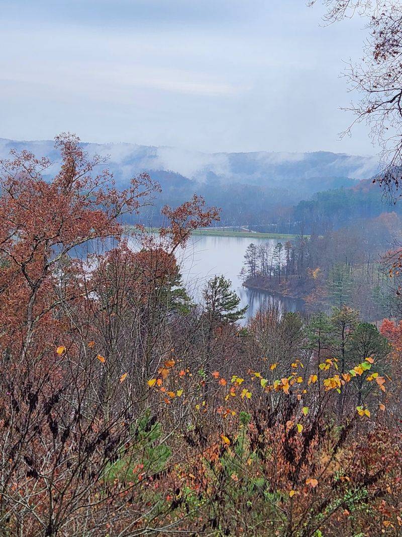 Zaleski State Forest