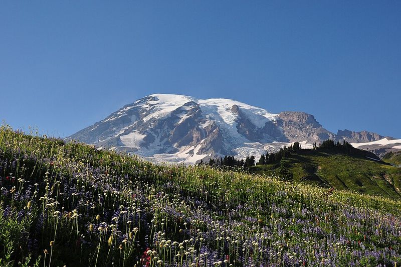 Mount Rainier National Park