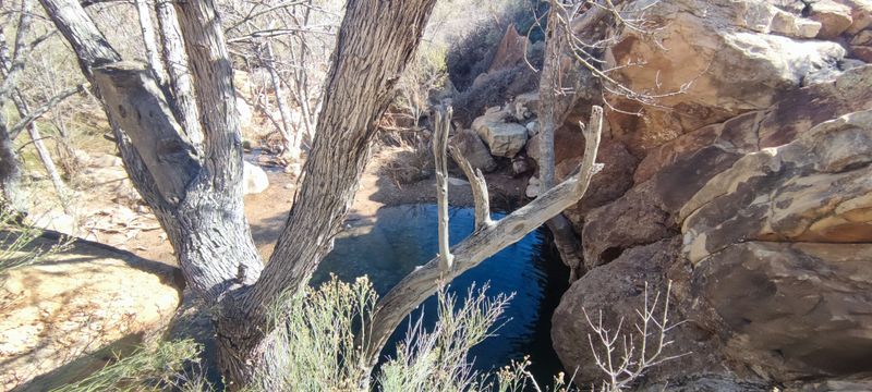 5. Arizona (Ringbolt) Hot Springs (Slot Canyon Pools On The Colorado)