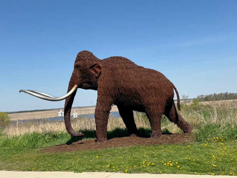 Horicon Marsh State Wildlife Area