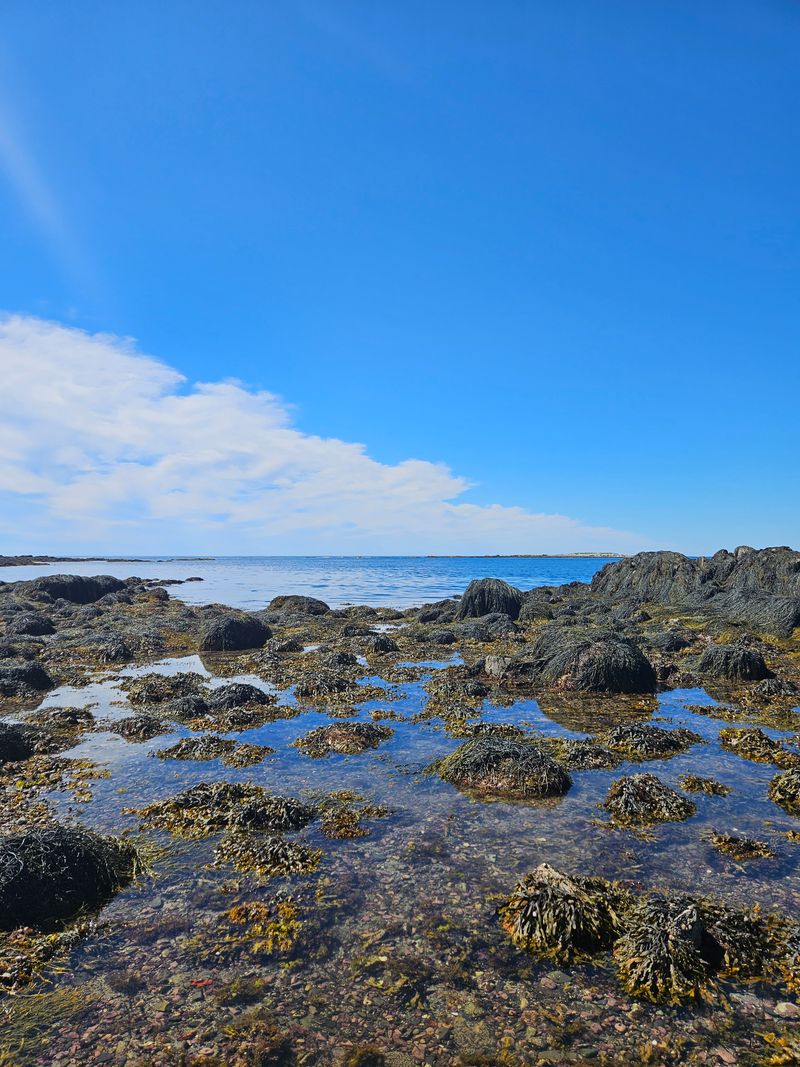The Spectacular Coastal Scenery That Rivals Anywhere on Earth