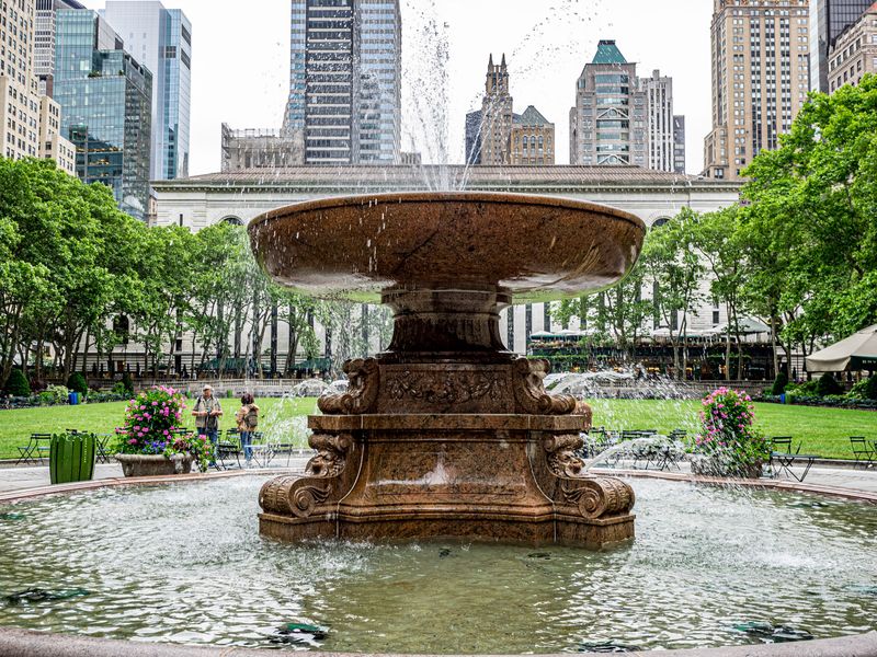 Feeding Wild Birds Can Land You in Legal Trouble