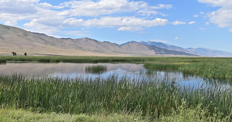 Ruby Lake National Wildlife Refuge