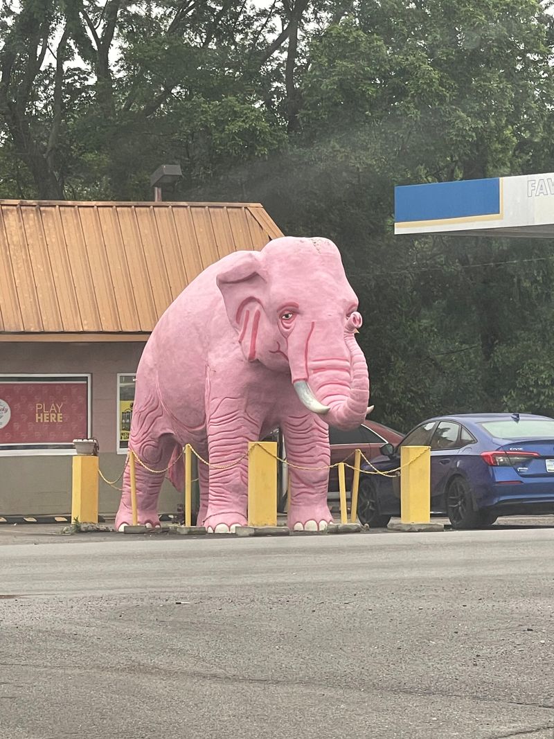 The Giant Pink Elephant