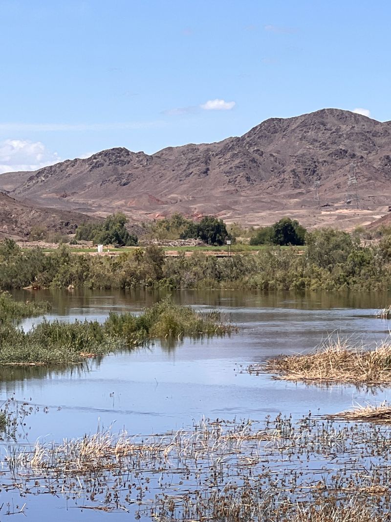 10. Gillard Hot Springs (Look, Don’t Soak)
