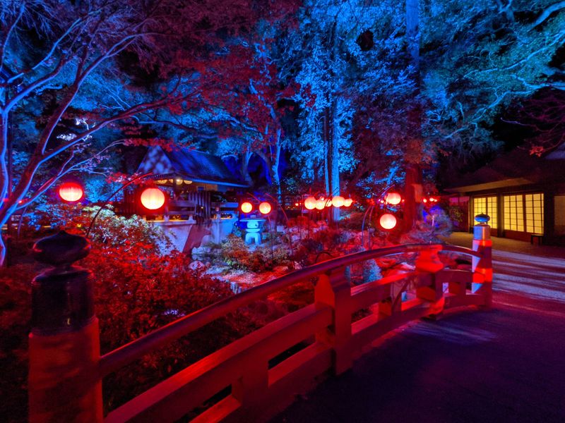 Interactive Installations That Spark Joy