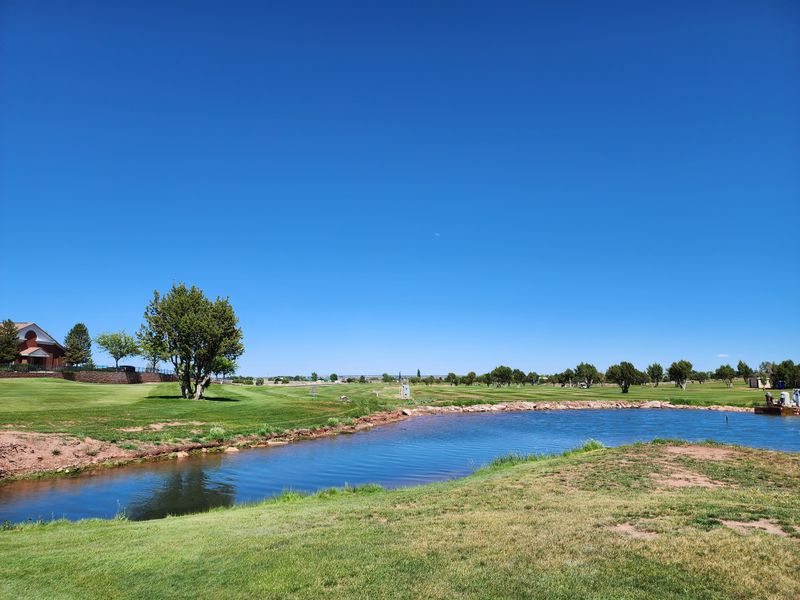 The Silver Creek Corridor Adding Subtle Winter Movement