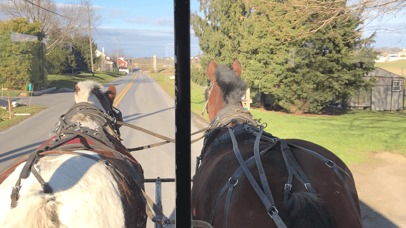 Horse and Buggy Moments on Country Lanes