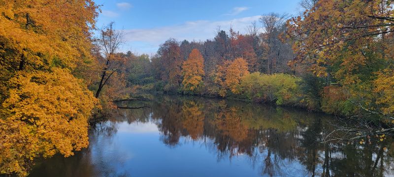 Practical Details For Finding The Stroll