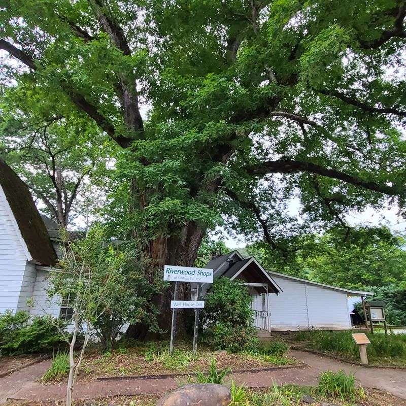 Holiday Moments That Feel Unscripted