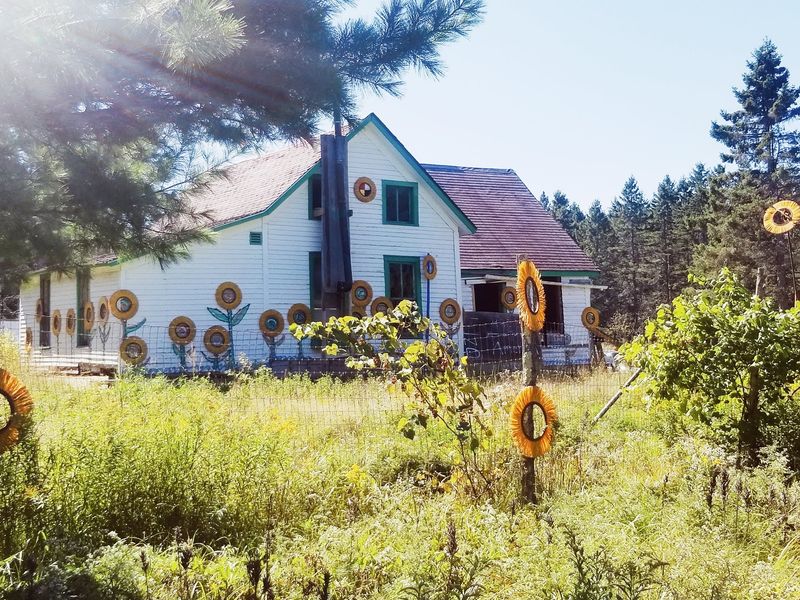 Hidden Spots That Reveal the Town’s True Character