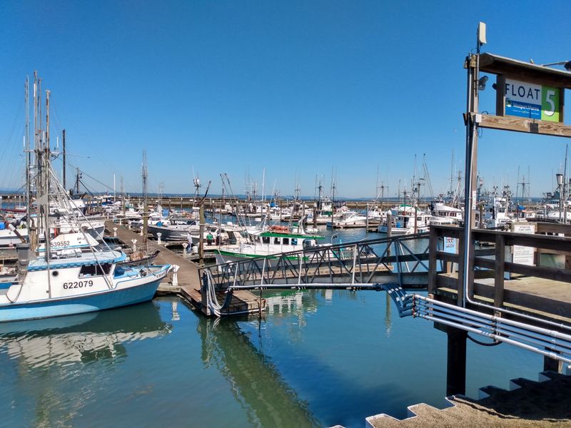 Fishing Culture That Feeds the Tradition