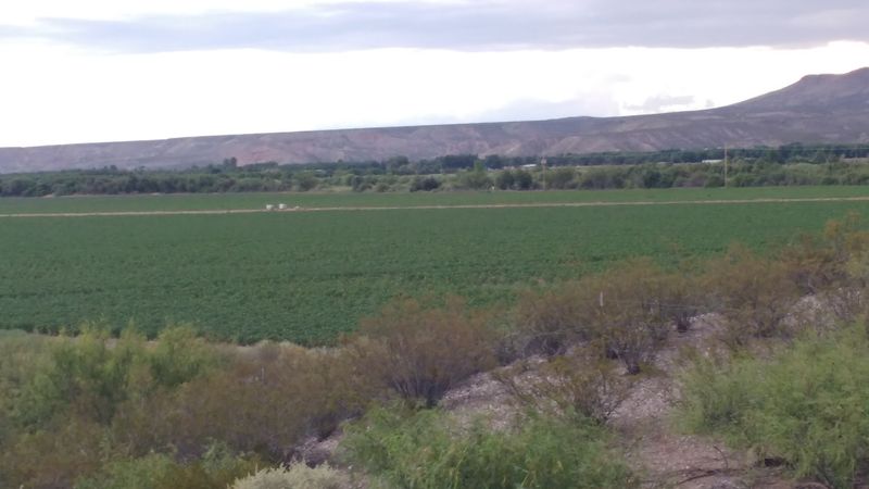 A Growing Season That Shapes the Year