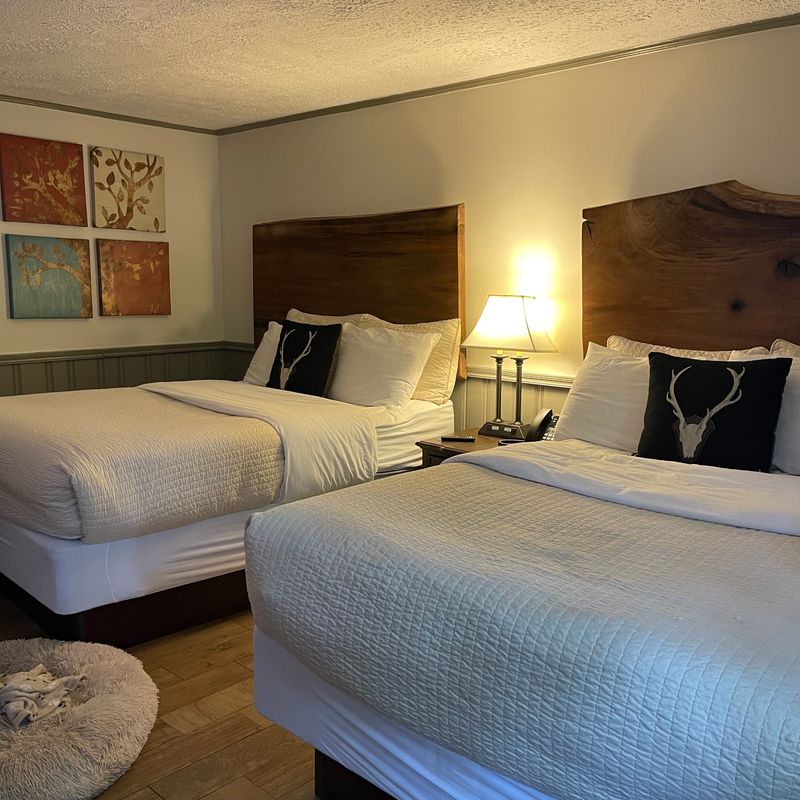 Rooms Designed for Rest Over Frill