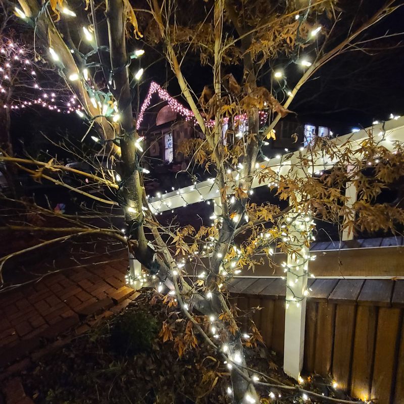 A Slower Rhythm That Encourages Wandering