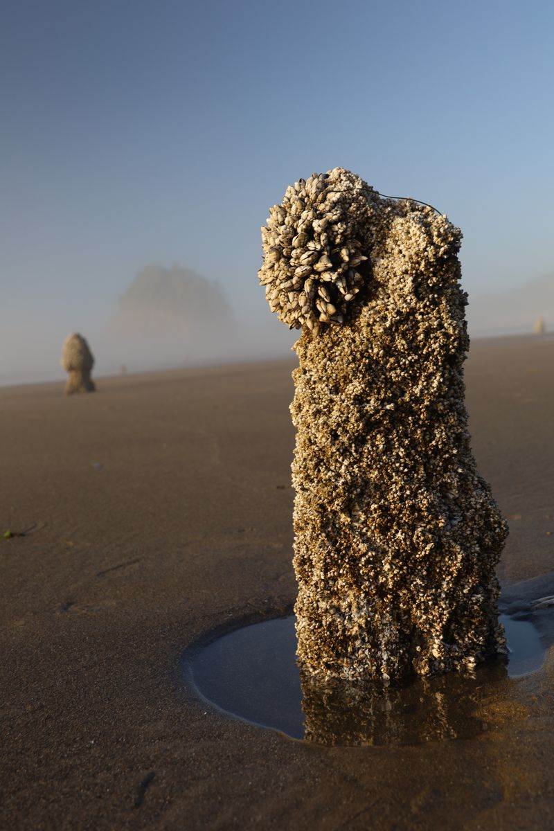 Mysterious Legends and Native American Stories