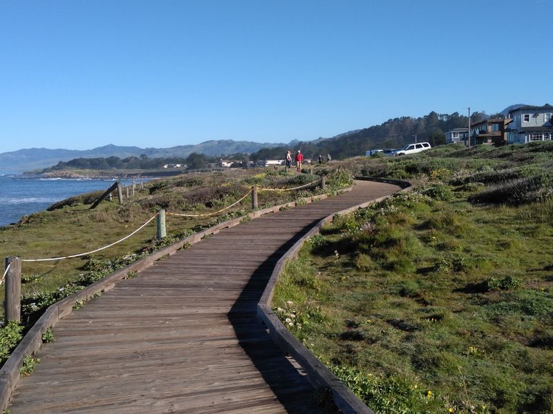 A Coastal Boardwalk That Stays Quiet and Enchanted