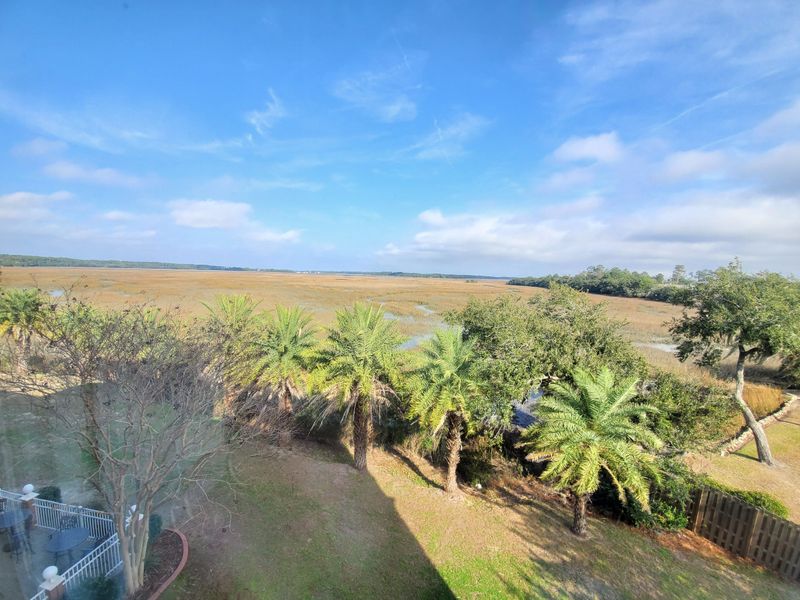 Marshlands That Shift Into a Minimalist Winter Scene