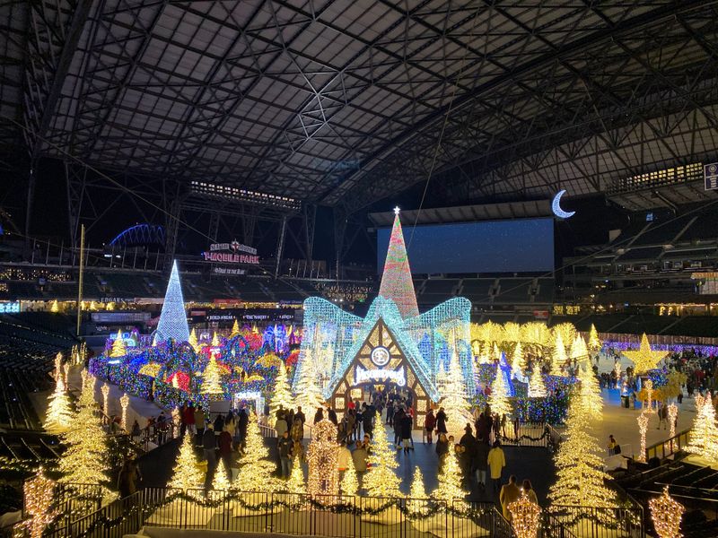 An Ice Skating Trail Winding Through the Lights
