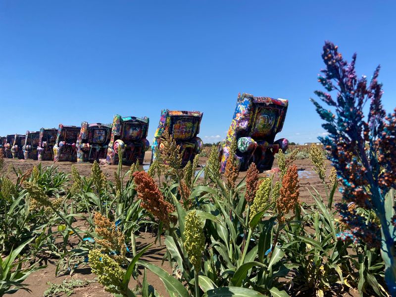 A Landscape That Feels Strangely Serene