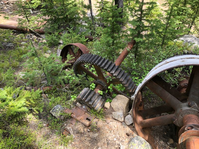 An Unfulfilled Dream In Timber