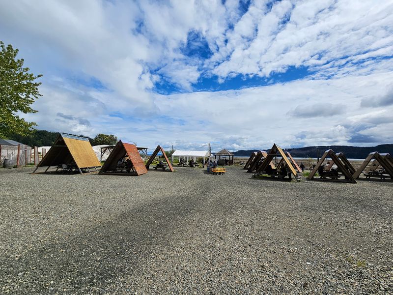 All Ages And Dog Friendly